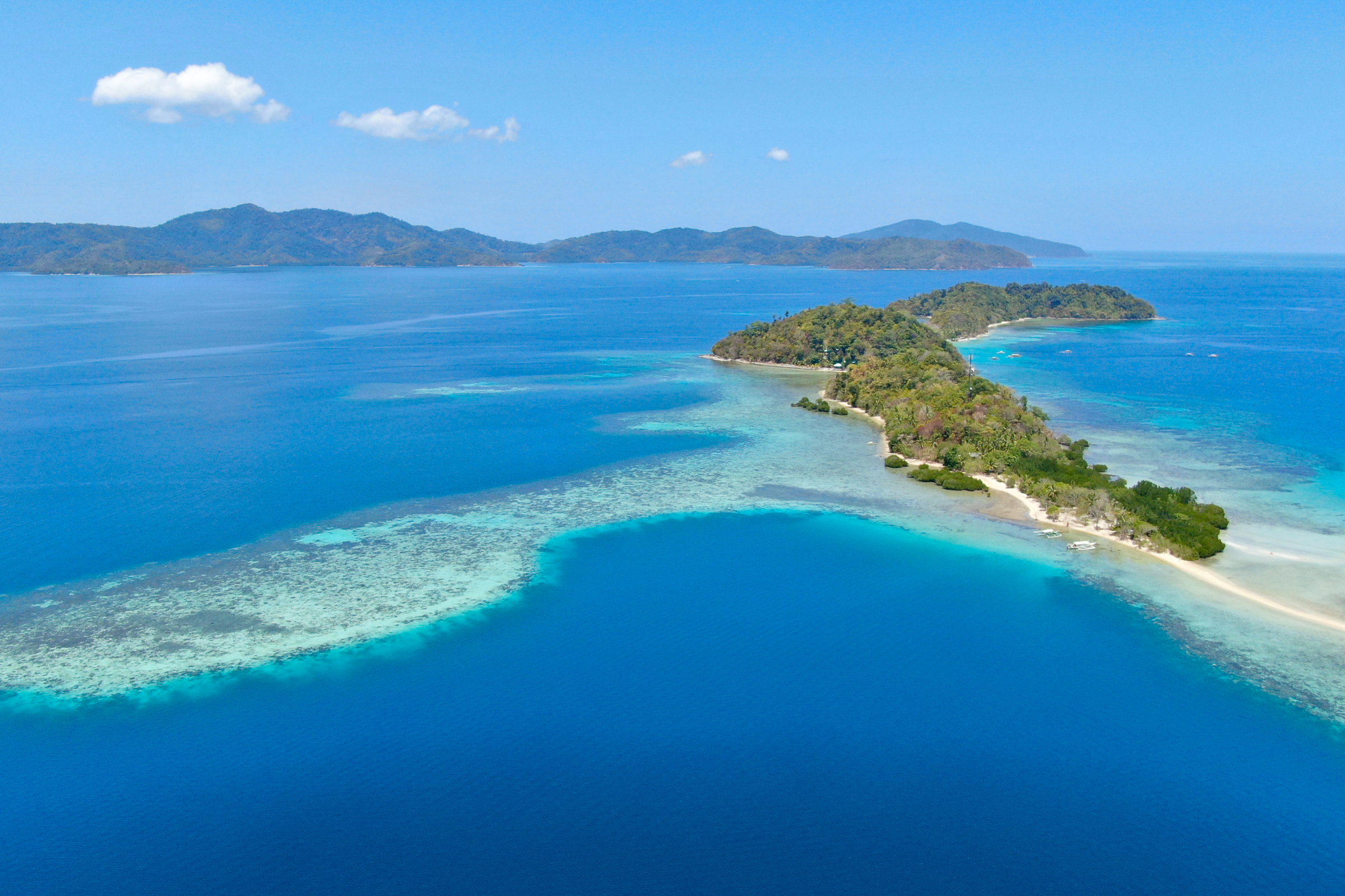 polilo island.webp